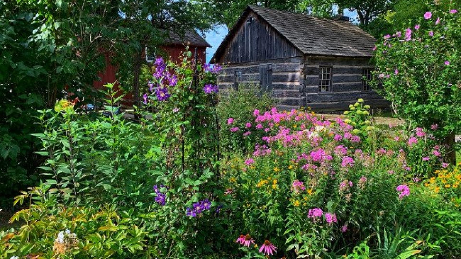 Rustic cabin surrounded by vibrant summer flowers and green trees.