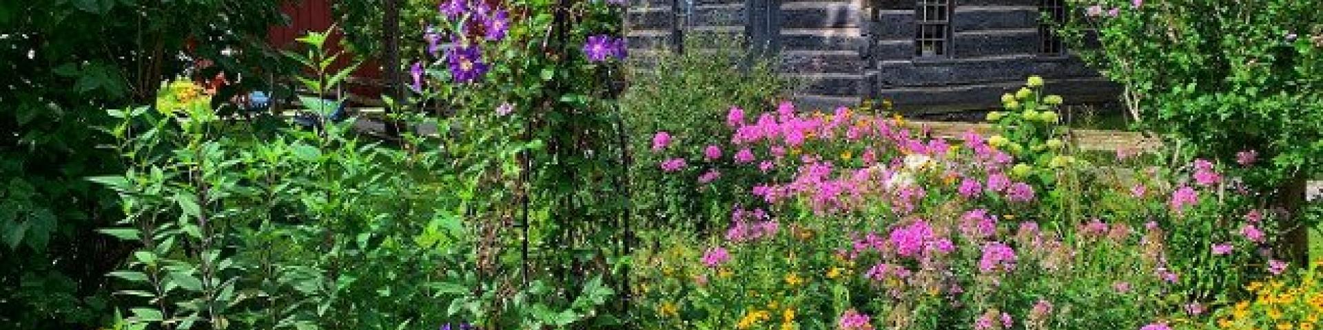 Rustic cabin surrounded by vibrant summer flowers and green trees.