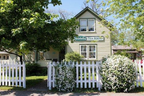 Cozy house behind a white picket fence with lush greenery and blooming bushes.